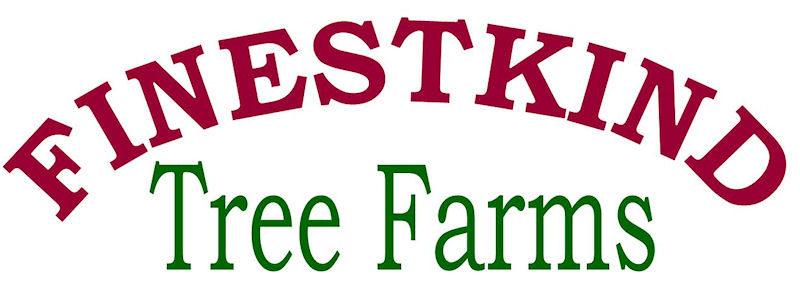 Welcome To Finestkind Tree Farms in Dover-Foxcroft, Maine