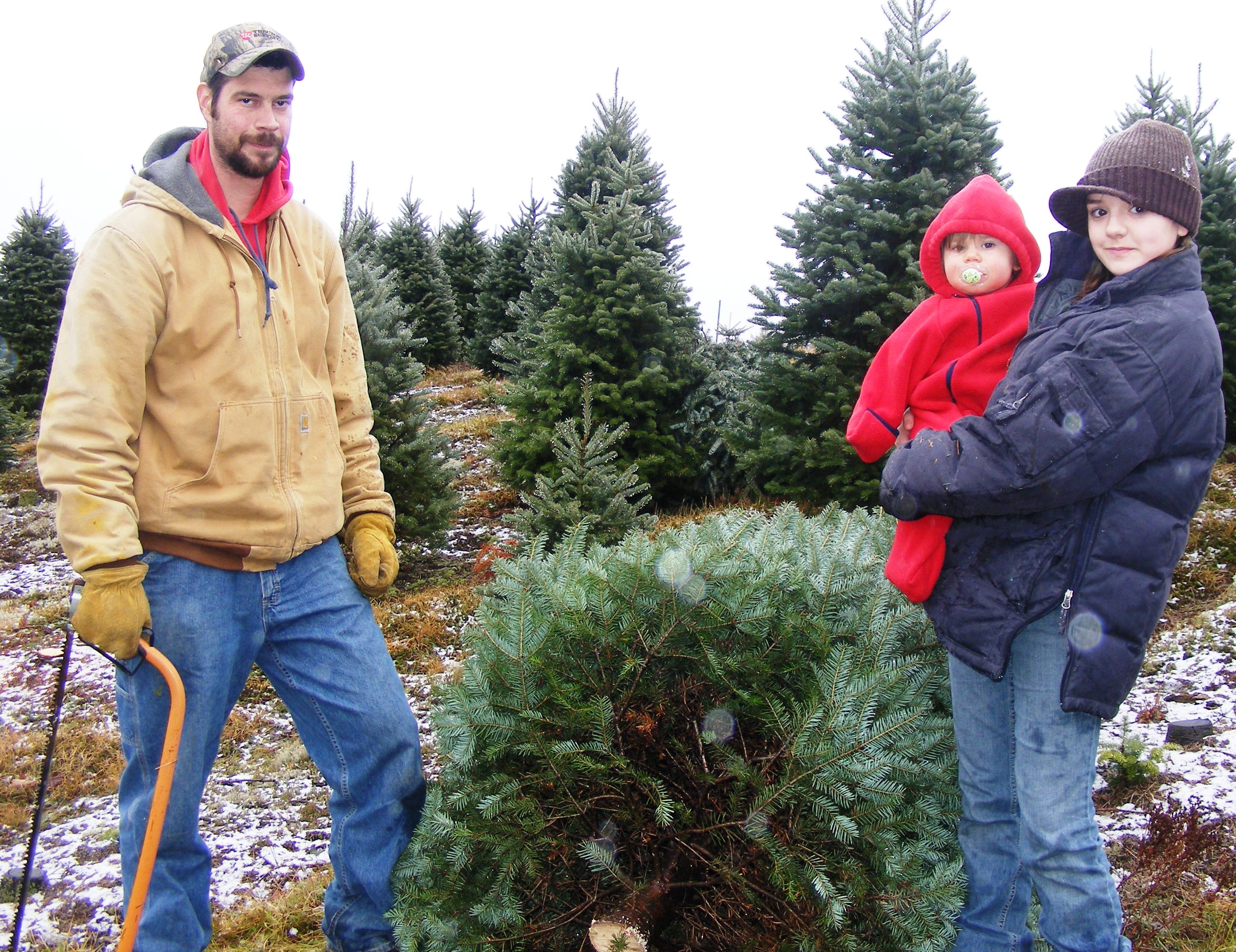 A family choosing and cutting their own Christmas Tree! Finestkindtreefarm.com