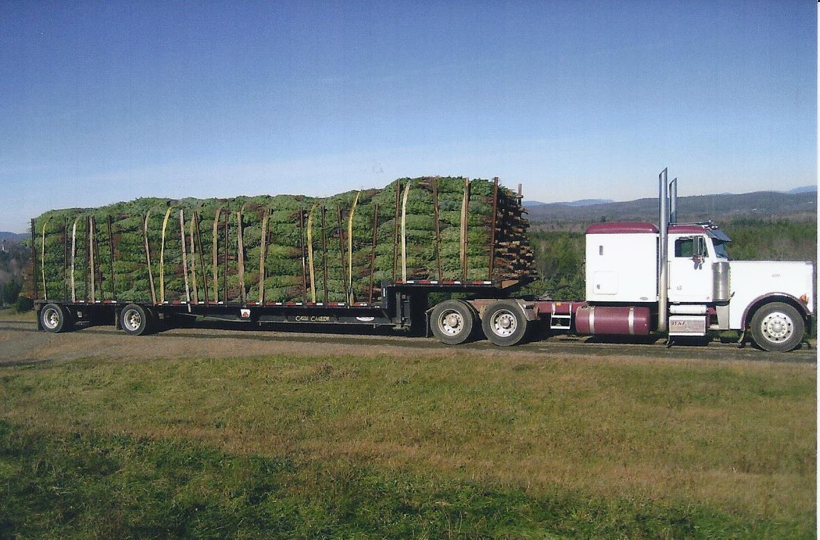 A Truckload heading to a wholesale account. www.FinestKindTreeFarms.com